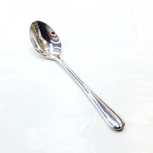 #1010201-SS45;  S/S sauce spoon 10.3cm #45