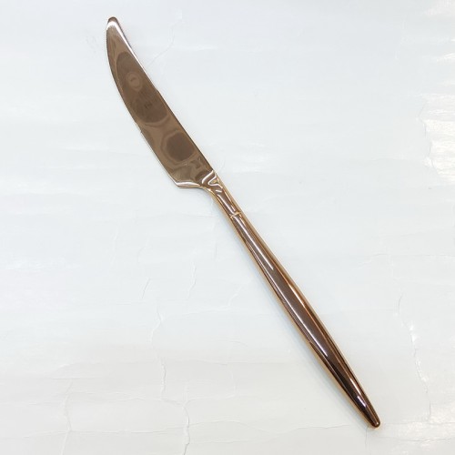 #1171304-25-RG:S/S table knife #25 RG 