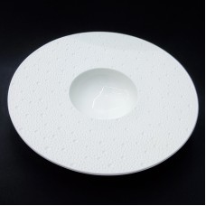 #BU6535; Ceramic 9.75" rd. plate #Y..