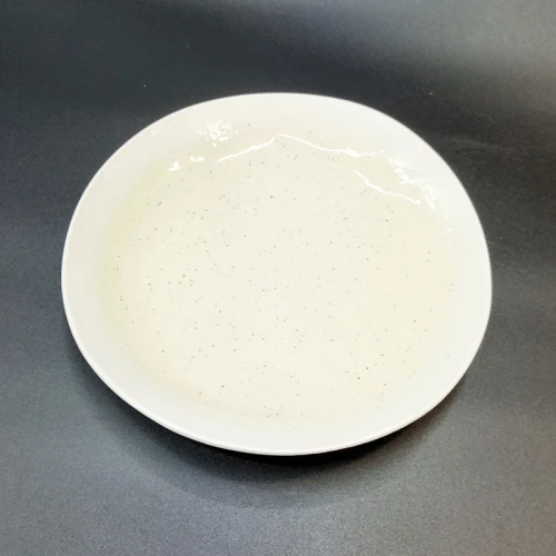 #SG7906; Ceramic 8.5" salad plate  